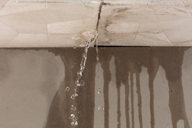 Professional Flood Damage Cleanup technician working in Wyoming, IL